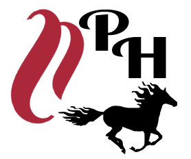 Performance Horse Network